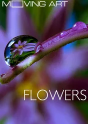 Moving Art: Flowers / Moving Art: Flowers