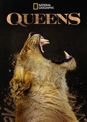 Królowe świata zwierząt / Queens